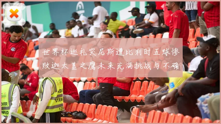 世界杯巡礼突尼斯遭比利时五球惨败迦太基之鹰未来充满挑战与不确定性