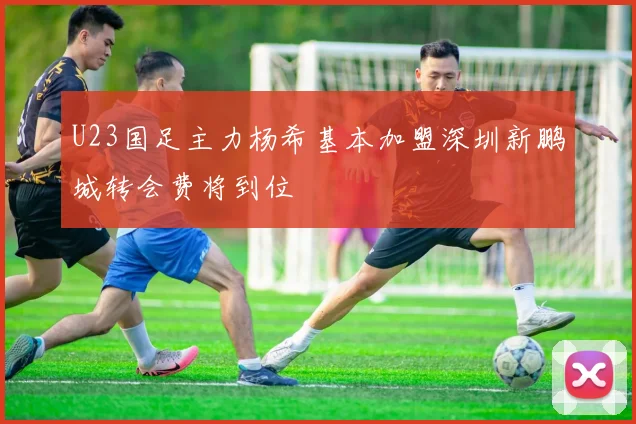 U23国足主力杨希基本加盟深圳新鹏城转会费将到位